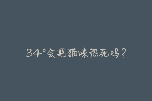 34°会把猫咪热死吗?