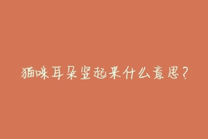 猫咪耳朵竖起来什么意思?