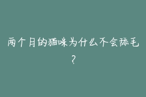 两个月的猫咪为什么不会舔毛?