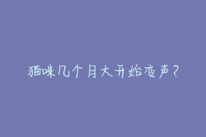 猫咪几个月大开始变声?