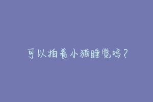 可以拍着小猫睡觉吗?