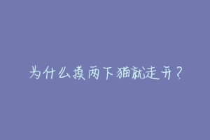 为什么摸两下猫就走开?