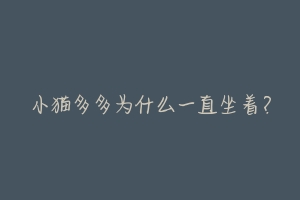 小猫多多为什么一直坐着?