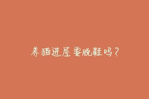 养猫进屋要脱鞋吗?