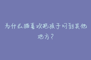 为什么猫喜欢把孩子叼到其他地方?