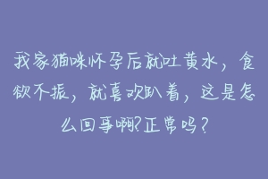 我家猫咪怀孕后就吐黄水，食欲不振，就喜欢趴着，这是怎么回事啊?正常吗？