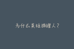 为什么英短猫瞪人？