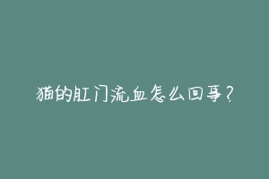 猫的肛门流血怎么回事？