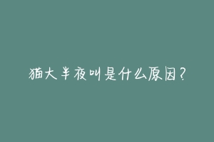 猫大半夜叫是什么原因？
