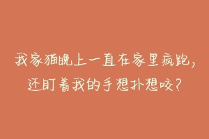 我家猫晚上一直在家里疯跑,还盯着我的手想扑想咬?