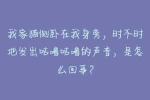 我家猫侧卧在我身旁,时不时地发出咕噜咕噜的声音,是怎么回事?