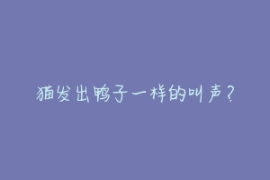 猫发出鸭子一样的叫声?