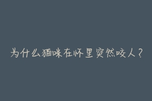 为什么猫咪在怀里突然咬人?