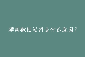 猫间歇性发抖是什么原因?