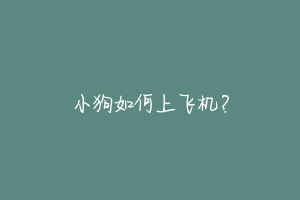 小狗如何上飞机?