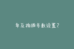 单反拍猫参数设置?