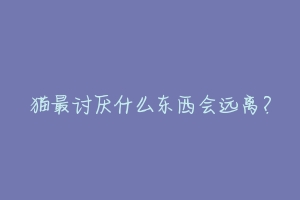 猫最讨厌什么东西会远离?