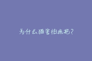 为什么猫害怕拖把?