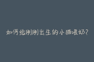 如何给刚刚出生的小猫喂奶?