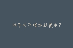 狗不吃不喝水拉黑水?