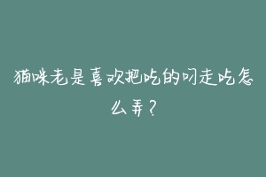 猫咪老是喜欢把吃的叼走吃怎么弄?