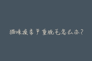 猫咪换季严重脱毛怎么办?