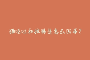 猫呕吐和拉稀是怎么回事?