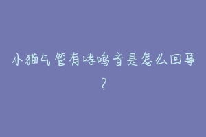 小猫气管有哮鸣音是怎么回事?