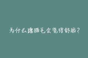 为什么蹭猫毛会觉得舒服?