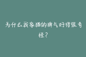 为什么我家猫的脾气好得很奇怪?