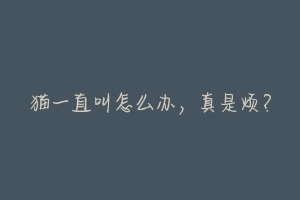 猫一直叫怎么办，真是烦？