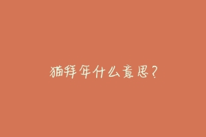 猫拜年什么意思?