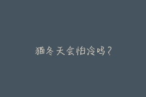 猫冬天会怕冷吗?