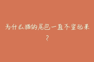 为什么猫的尾巴一直不竖起来？