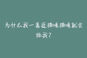 为什么我一靠近猫咪猫咪就会舔我?