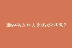 猫的视力和人能比吗?谁强?