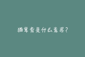 猫耸背是什么意思?