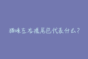 猫咪左右摇尾巴代表什么?