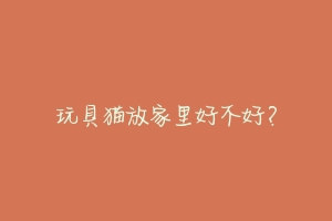 玩具猫放家里好不好？