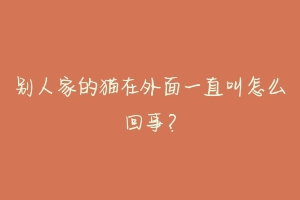 别人家的猫在外面一直叫怎么回事？