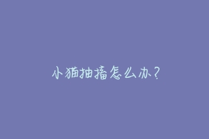 小猫抽搐怎么办?