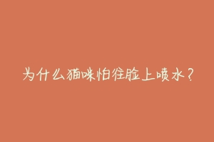 为什么猫咪怕往脸上喷水?