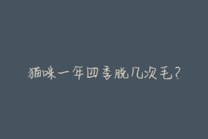 猫咪一年四季脱几次毛?