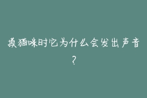 摸猫咪时它为什么会发出声音?