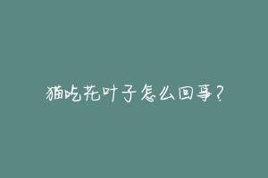 猫吃花叶子怎么回事?