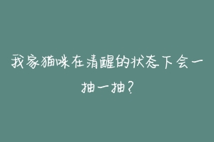 我家猫咪在清醒的状态下会一抽一抽?
