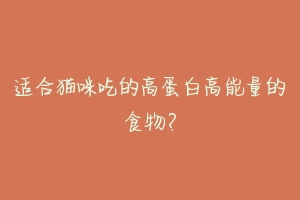 适合猫咪吃的高蛋白高能量的食物？