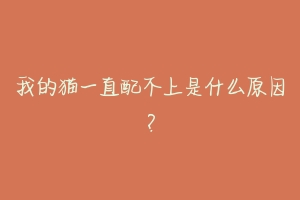 我的猫一直配不上是什么原因?