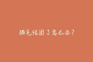 猫毛结团了怎么办?