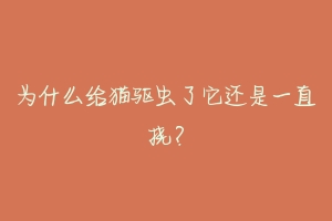 为什么给猫驱虫了它还是一直挠?